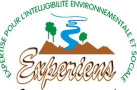 Logo Experiens